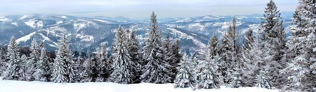 Brr! Zima je tu!